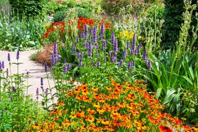 Fall flowers in garden