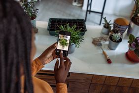 Woman taking a picture of a potted flower