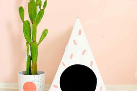 pink and white litter box house next to a cactus and orange cat