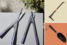 Composite of essential garden tools