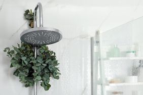 Bunch of eucalyptus in a shower