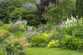 colorful flower garden