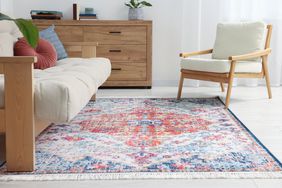 Beautiful rug, sofa, armchair and chest of drawers indoors