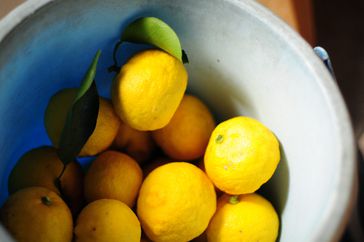 yellow yuzu fruit in tub