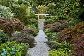 lush garden path surrounded by greenery