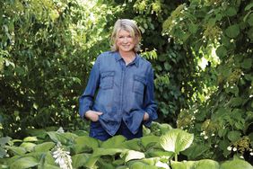 Martha Stewart in garden