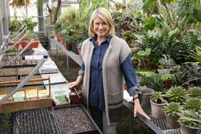 martha stewart in greenhouse organizing seeds