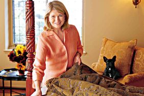 Martha Stewart cleaning house