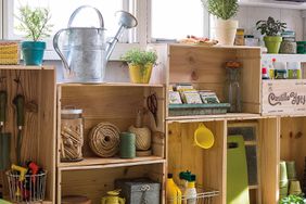 organized garage shed