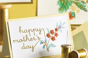 mld105714_0510_mother_card.jpg