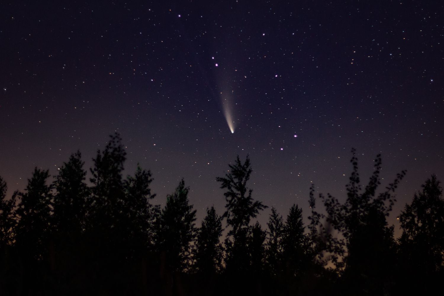 Comet above forest 