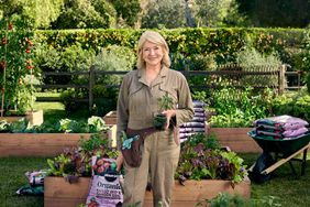 Martha Stewart in the garden