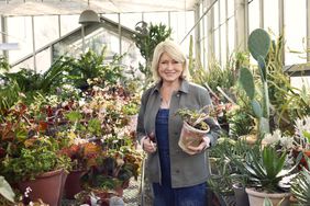 Martha Stewart in her greenhouse