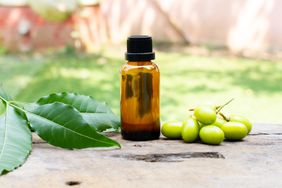 Neem oil in a bottle with neem fruit