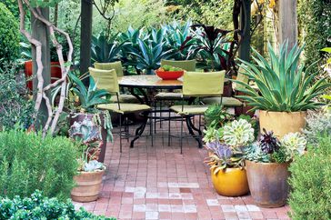 backyard brick patio with dining table and plants