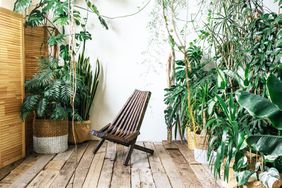 Interior design with wooden elements and plants