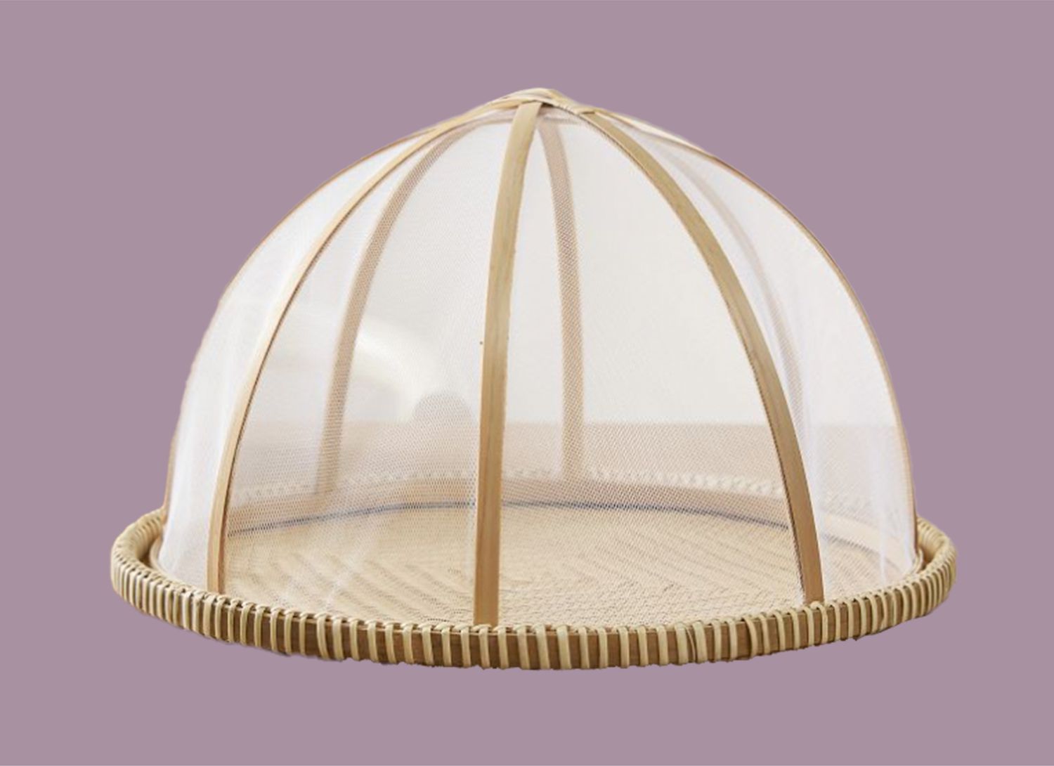 screened food dome on a purple background