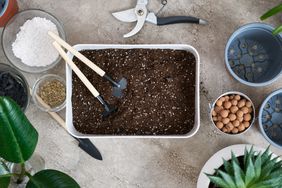 Perlite with soil and planting supplies