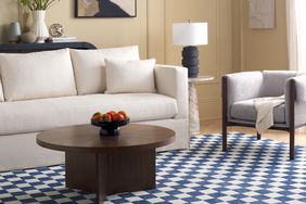 Living room with blue-and-white checkered rug