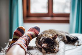 cat asleep at feet