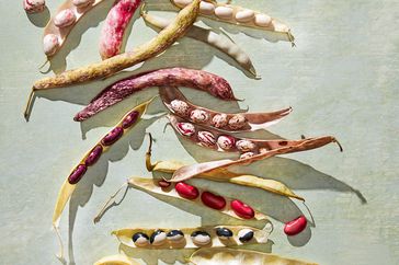 colorful shelled beans on green surface